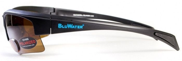 Окуляри біфокальні поляризаційні BluWater Bifocal-2 (+1.5) Polarized (brown) (коричнева біфокальна лінза з діоптріями) 4БИФ2-50П15 фото