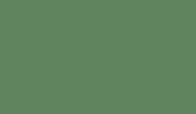 Краска маскировочная - English Green [FOSCO] FOS-17-005558 (8829) фото