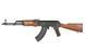 Штурмова гвинтівка AKMN SPORTS LINE AEG [S&T], для страйкболу STAEG110FW фото 10