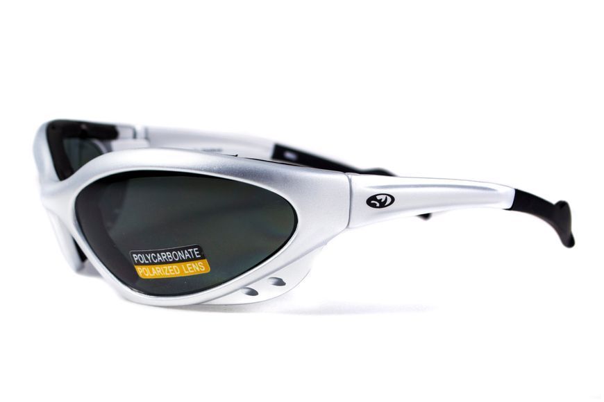 Захисні окуляри з поляризацією Black Rhino Rhinolidz Polarized (gray), сірі 4РИНО-20П фото