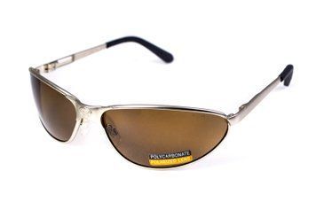 Защитные очки с поляризацией Black Rhino i-Beamz Polarized (brown), коричневые GV-IBEAM-BR2 фото