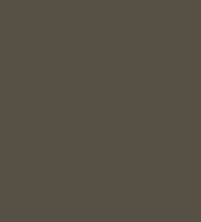 FOSCO - Camouflage Paint - Ranger Green 15065 фото