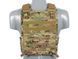 Плитоноска (Plate Carrier) 420 &ndash; Мультикам [EM] EM7362MC_tw фото 28
